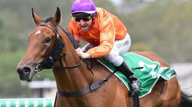Miss Hipstar is one of Nathan Exelby’s bets of the day. Picture: Trackside Photography