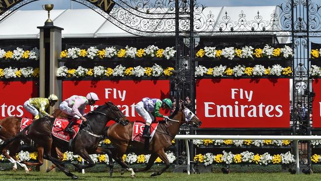 Luckiest bugger of the Melbourne Cup