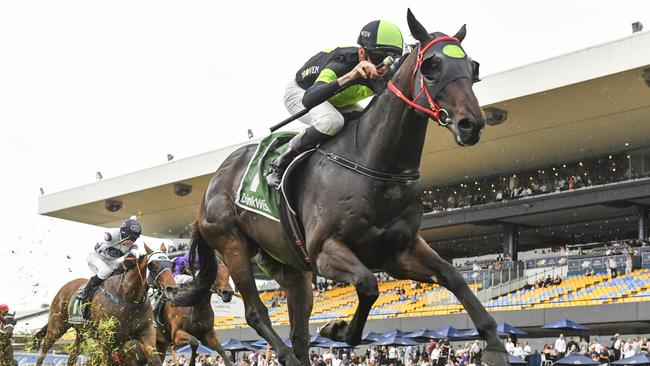 Private Eye wins the Festival Stakes at Rosehill Gardens in November last year. Picture: Bradley Photos