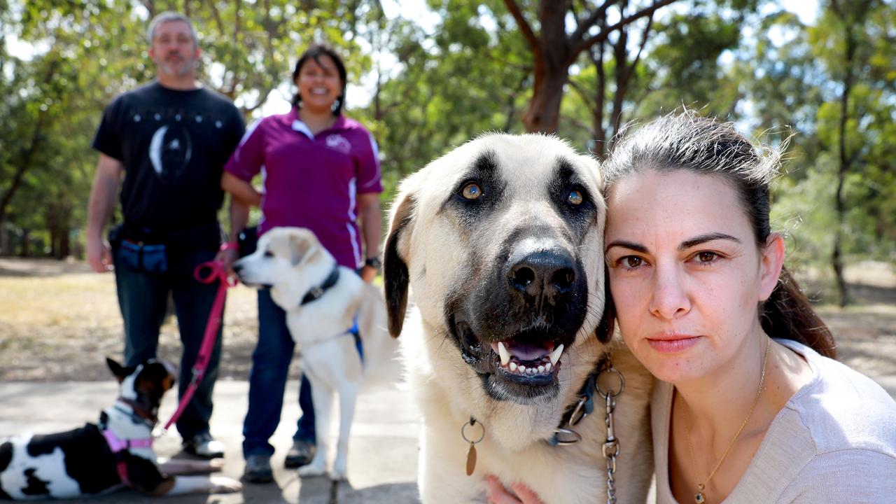 Hills Shire Council policy imposes restrictions on pet ownership Daily Telegraph