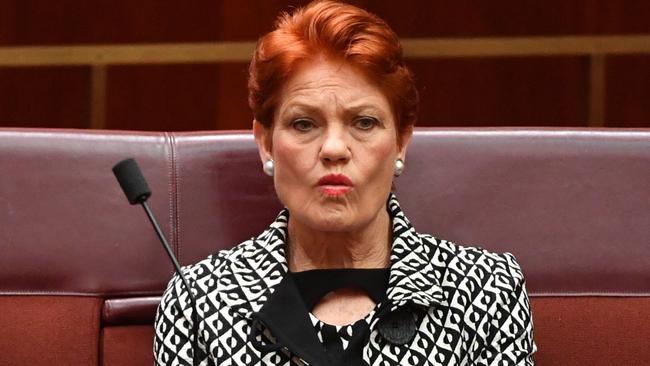 One Nation leader Senator Pauline Hanson will visit the region on Friday. (AAP Image/Mick Tsikas) NO ARCHIVING