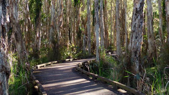 The Boardwalk at Coombabah Lakelands. Picture Donna Mroz Turcic