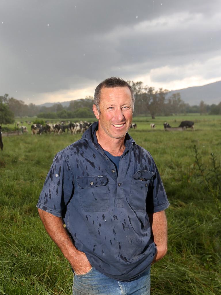 Mountain Milk Co-op: Dederang dairy farmers reap benefits from co-op ...