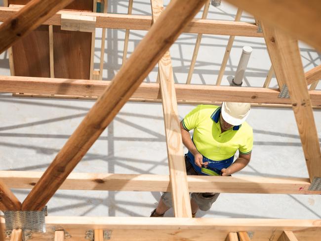 TRADESMAN/ TRADIE/BUILDING INDUSTRY:  Builder checking plan on digital tablet.