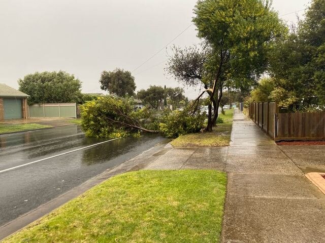 Reader pic from Heyers Rd, Grovedale