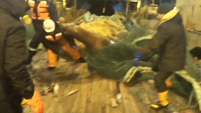 Angry Sea Lion gets revenge on fishermen