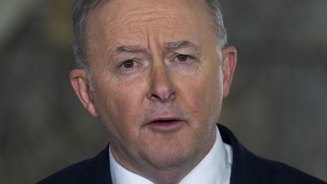 Labor leader Anthony Albanese. Picture: Martin Ollman