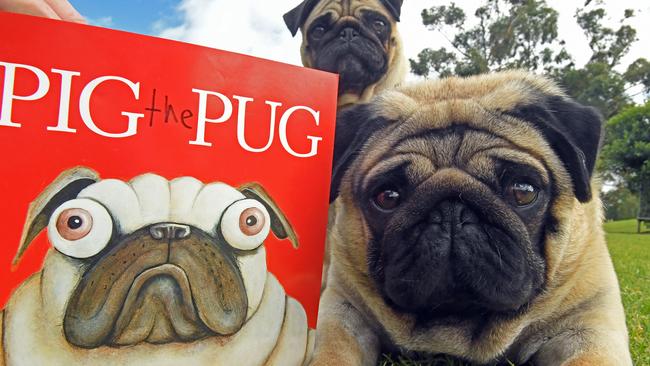 Real pugs best sale