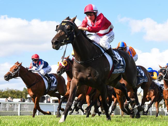 The 2020 All-Star Mile winner Regal Power is on the comeback trail after two jumpouts for new trainer John Leek Jr. Picture : Racing Photos via Getty Images.