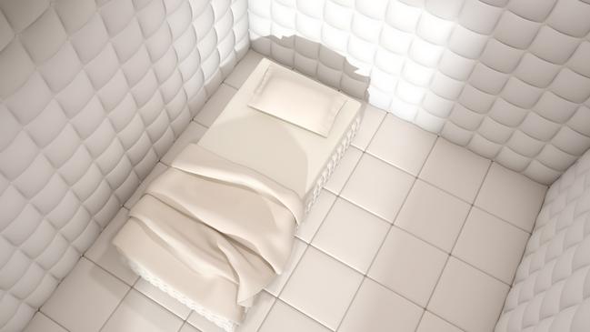 Solitary rooms are often padded all over with a mattress on the floor, they are used for patients to regulate and usually for very short periods of time. Picture: Supplied