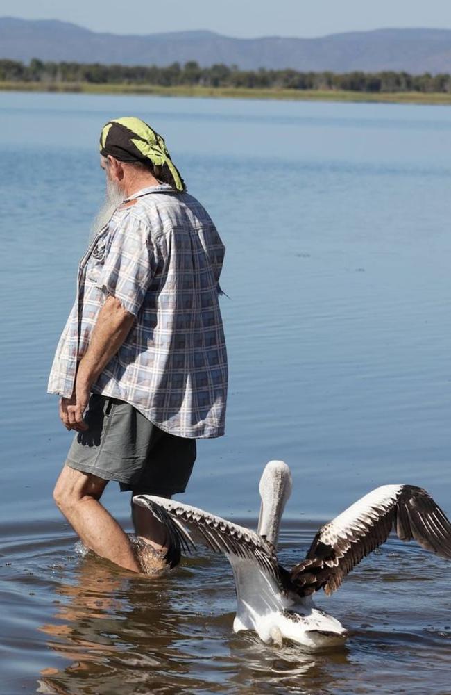 Following their chat, Peggy followed Mr Bell out into the water. Picture: NQ Wildlife Care