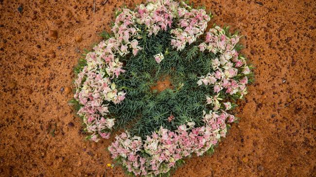 Wreath flower at Perenjori, Western Australia. Picture: Jarrad Seng