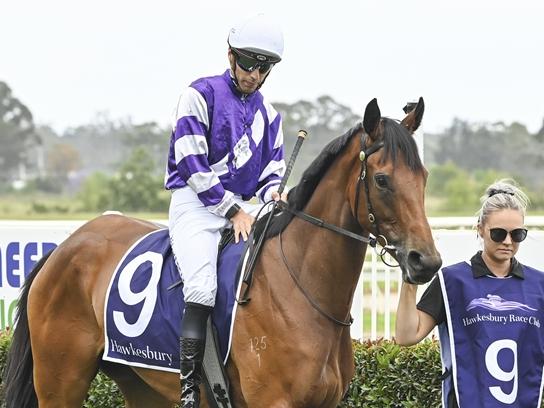 Aroha Stone can make it consecutive wins when she steps out on her home track. Picture: Bradley Photos