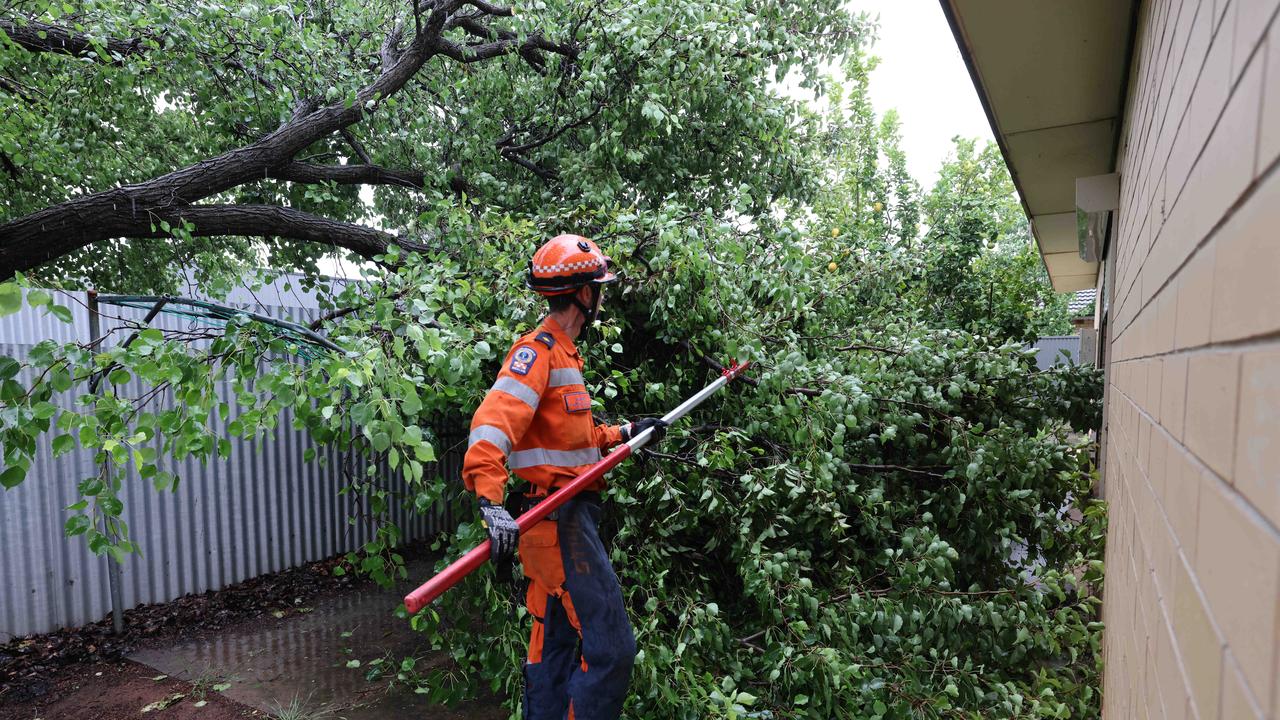 An SES volunteer clears a limb at Clarence Pk Image/Russell Millard Photography