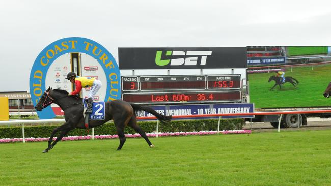 John Morrisey-trained Gorada (jockey Shannon Doyle) wins Shootout Memorial Class 2 Handicap (1800m) at Gold Coast on Saturday, January 21, 2017. Photo:Jessica Hawkins/Trackside Photography