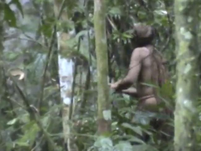 In this 2011 video frame released by Brazil's National Indian Foundation, an uncontacted indigenous man is seen amid the forest, in Rondonia, Brazil. He appeared to have lived alone in Brazil's Amazon for 22 years.