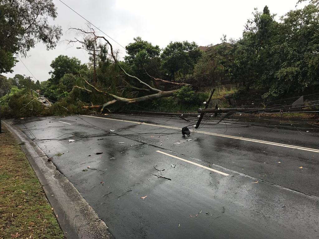 CASTLE COVE: Eastern Valley Way is closed in both directions at Boundary St due to a fallen tree &amp; wires. Use Boundary St, Pacific Hwy &amp; Gore Hill Fwy instead. Picture: Twitter / Live Traffic Sydney