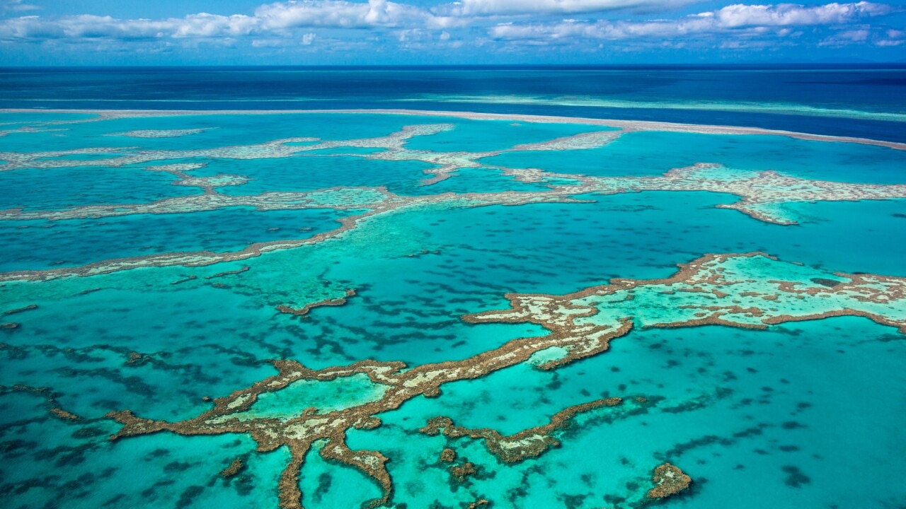 Great Barrier Reef coral cover increases