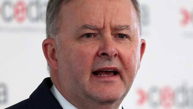 Opposition Leader Anthony Albanese. Picture: AAP