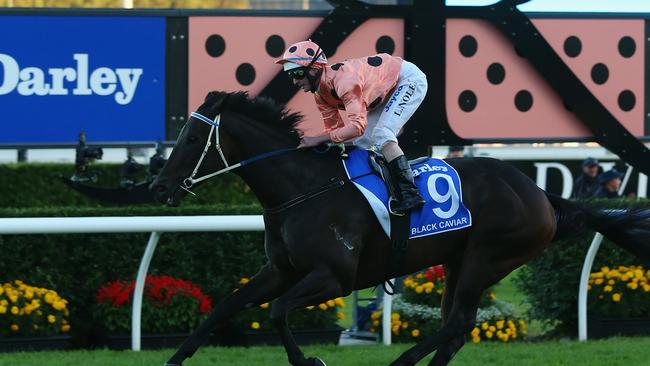 Black Caviar and Luke Nolan winning the Group 1 TJ Smith Stakes at Randwick, her 25th win in succession at her final race start. Picture: Getty Images