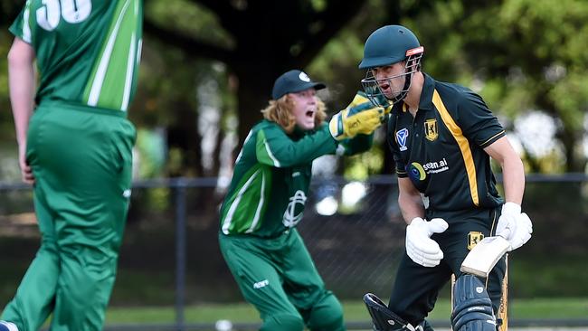 VSDCA North/East 1st XI Cricket: Croydon versus Donvale at Croydon Park. Bowler Hamish Paterson appeals for Jayden Clay. Picture: Steve Tanner