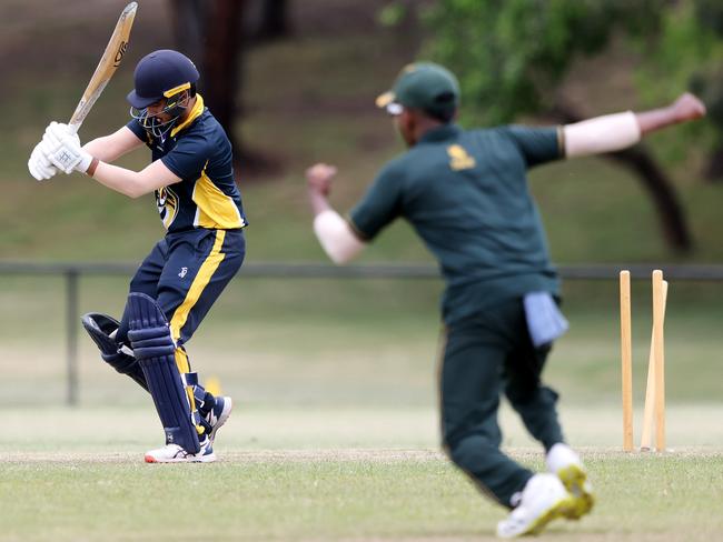 VSDCA: Balwyn’s Aditya Narayana is bowled. Picture: George Sal