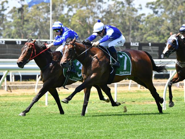 Northumbria wins at Warwick Farm on Wednesday. Photo: Bradley Photos.