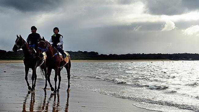 Gondokoro, ridden by Karel Stryja (left) and Ethiopia, ridden by Katelyn Mallyon (right) enjoy a stroll along Balnarring Beach. 