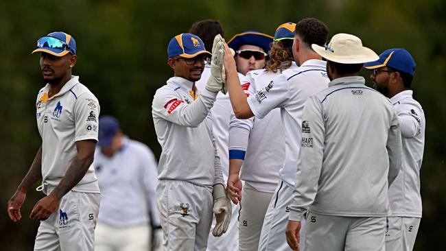 Grand United players celebrate a wicket. Picture: Andy Brownbill