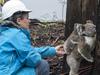 How to stop volunteers ‘killing by kindness’