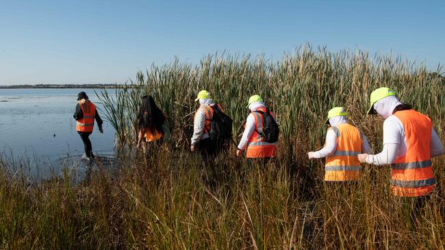 Wildlife rescuers will patrol known hunting areas for injured animals. Picture: Brad Fleet