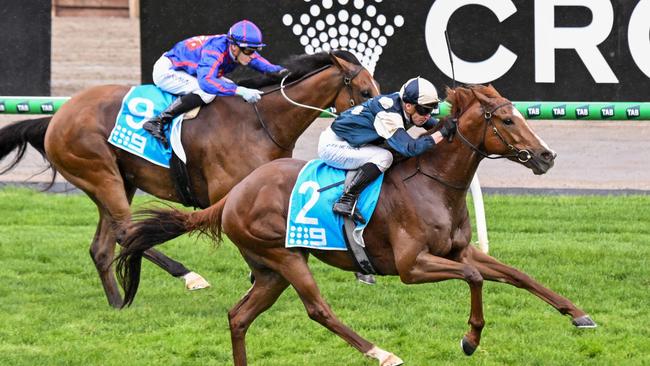 Light Infantry Man, ridden by James McDonald, winning the Chester Manifold Stakes at Flemington. Picture: Racing Photos via Getty Images