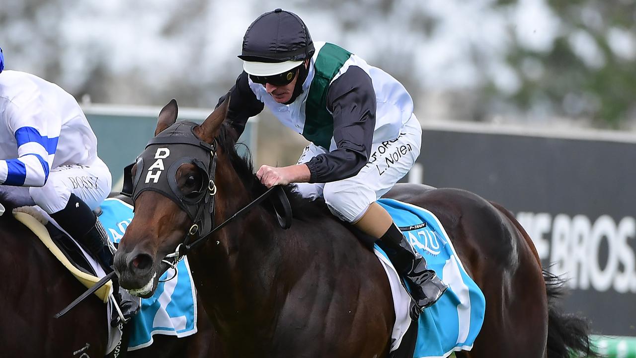 Supplied Editorial Two-year-old Finance Tycoon wins at the Gold Coast on Saturday.
  Credit: Grant Peters, Trackside Photography