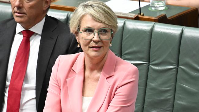 Reports from the Sydney electorate indicate Tanya Plibersek will pay a political price for supporting the government’s legislation that will allow the salmon industry to continue farming at Macquarie Harbour. Picture: NewsWire / Martin Ollman