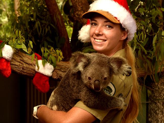 Christmas treats at Billabong Sanctuary. Acting head of mammals Tabatha Bennett with Puzzle. Picture: Evan Morgan