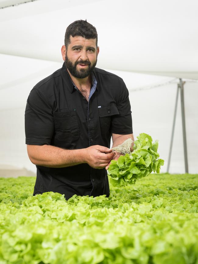 Damien Manno aims to grow herbs and vegetables with the smallest carbon footprints and fewest food miles. Picture: AusVeg