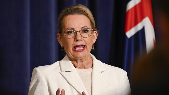 Liberal leader Sussan Ley is expected to unveil her shadow ministry this week after a Coalition deal is finalised. Picture: NewsWire / Martin Ollman