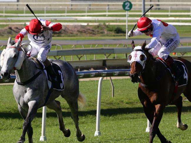 Winner race 2, #4 Dream Choice ridden by Jeff Lloyd. Doomben races. Pic Darren England.