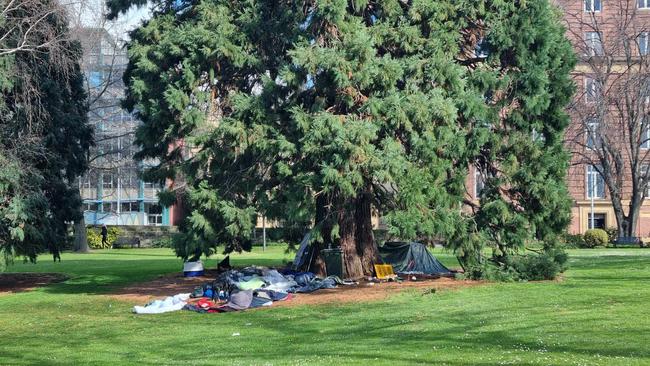 Tents at St David's Park, just metres from the government executive building. Picture: Elise Kaine