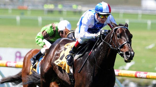 Americain back to winning ways in Zipping Classic at Sandown | The ...