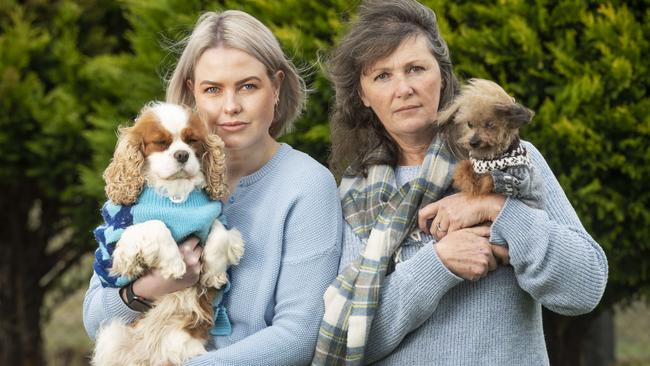 Oscar's Law president Georgie Purcell and founder Debra Tranter with their dogs, who were rescued from puppy farms. Picture: Rob Leeson