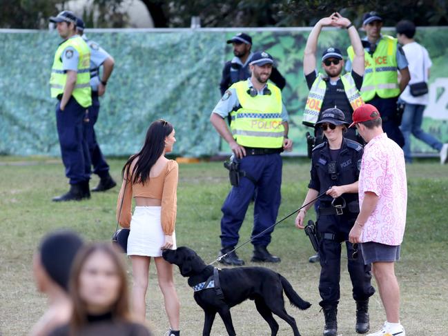 Police with sniffer dogs search people after they enter through the main entrance at the Listen Out Music Festival, Centennial Park, Sydney. 5th October 2019. Picture by Damian Shaw