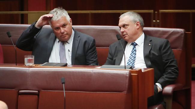 Centre Alliance Senators Rex Patrick and Stirling Griff will examine the Coalition’s policies on energy costs and the Murray River. Picture Kym Smith