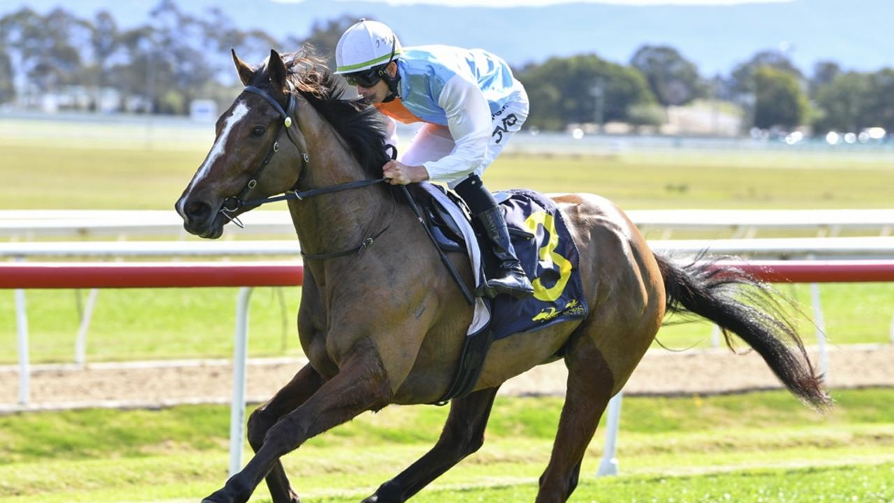 State Of America has been the victim of bad luck at his past two starts but can turn that around at Gosford on Thursday. Picture: Bradley Photos