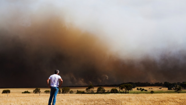 Bushfire smoke has been attributed to almost 500 deaths a year, a study has found. A man watches helplessly as a bushfire burns out of control at Lower Eyre Peninsula - South Australia. Picture: Getty Images