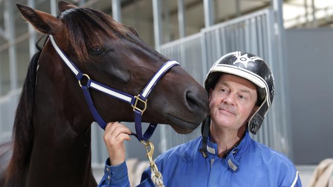 Improvement: trainer Mark Purdon is over the moon with the surprise development surrounding the hoof issue with Lazarus.