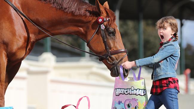 The Royal Melbourne Showbags, with Patrick the Show Jumping horse annoying Veronica, 5, at the Royal Melbourne Showgrounds.  Picture: Alex Coppel