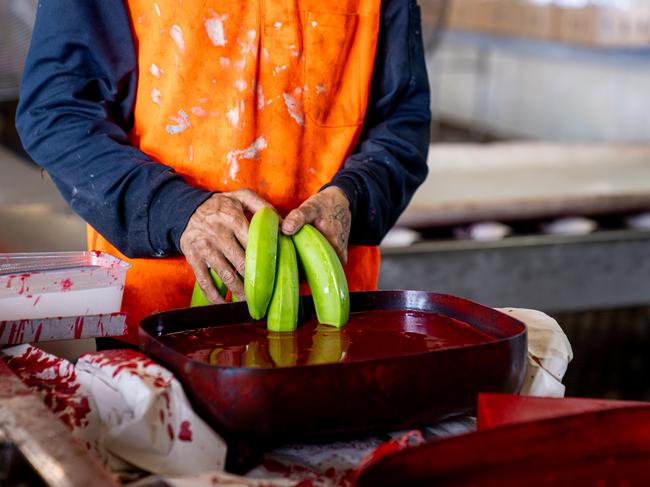 The Ecoganic red wax tip signifies that the bananas are produced using environmental management systems and sustainable production practices.