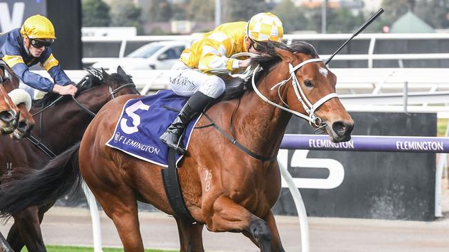 The Chris Waller-trained Thalassophile is capable of posting a second straight win when the filly takes on older mares at The Valley on Saturday. Picture: Racing Photos via Getty Images