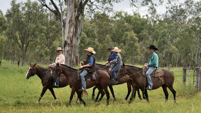 Peter leads his staff to check on the Wagyu beef herd.